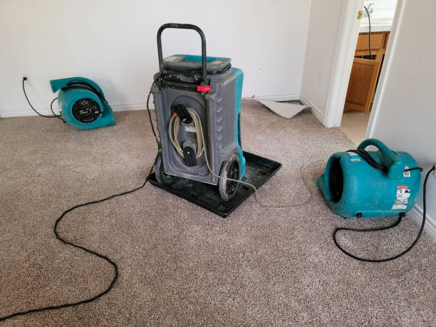 Professional Water damage restoration in Trenton, OH